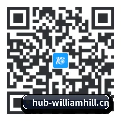 系统版 iOS 二维码
